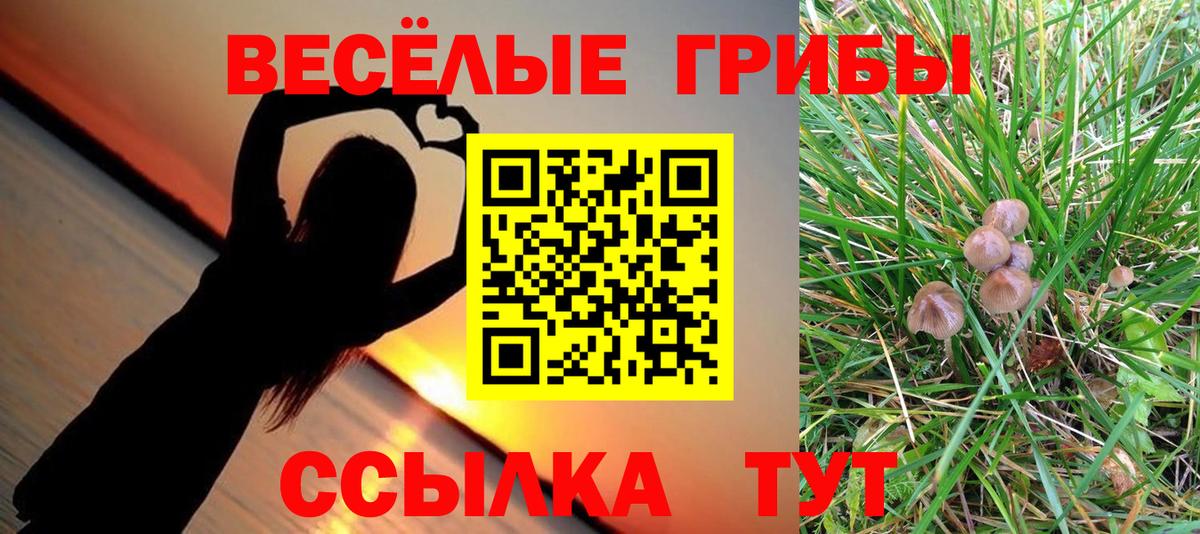 Псилоцибиновые грибы Magic Shrooms  Галлюциногенные грибы прущие грибы  Октябрьский  Вход с VPN 
